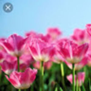 Meet your Posher, Cristal